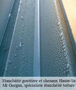etancheite-gouttiere-et-chenaux