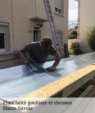etancheite-gouttiere-et-chenaux