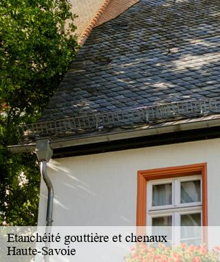 etancheite-gouttiere-et-chenaux