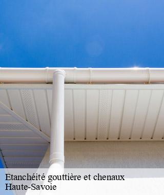 etancheite-gouttiere-et-chenaux