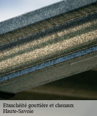 etancheite-gouttiere-et-chenaux