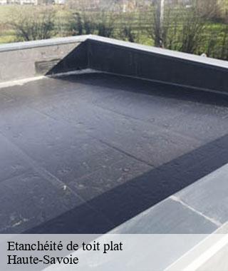 etancheite-de-toit-plat