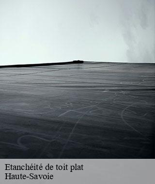 etancheite-de-toit-plat