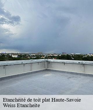 etancheite-de-toit-plat