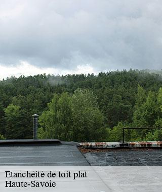 etancheite-de-toit-plat