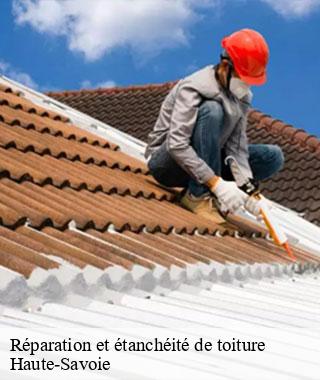 reparation-et-etancheite-de-toiture