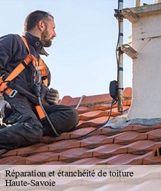reparation-et-etancheite-de-toiture
