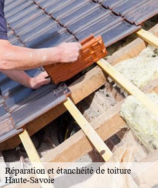 reparation-et-etancheite-de-toiture