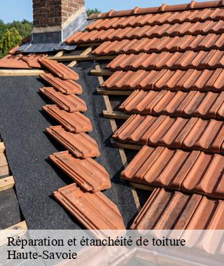 reparation-et-etancheite-de-toiture