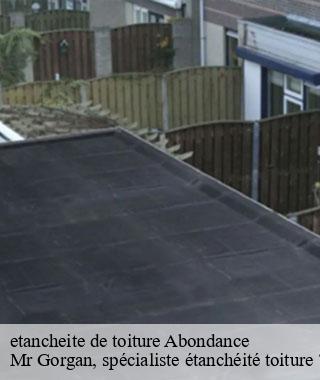etancheite-de-toiture