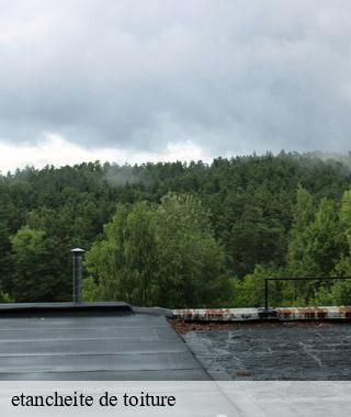 etancheite-de-toiture