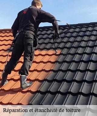reparation-et-etancheite-de-toiture