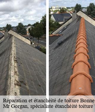reparation-et-etancheite-de-toiture