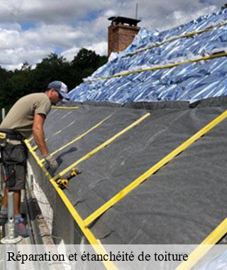 reparation-et-etancheite-de-toiture