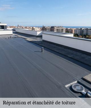 reparation-et-etancheite-de-toiture