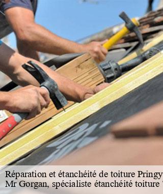 reparation-et-etancheite-de-toiture