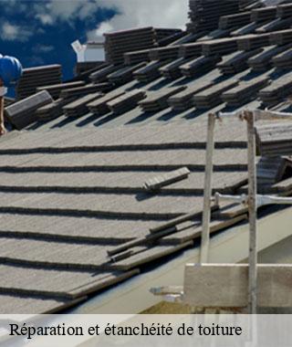 reparation-et-etancheite-de-toiture