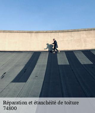 reparation-et-etancheite-de-toiture