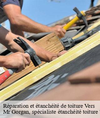reparation-et-etancheite-de-toiture
