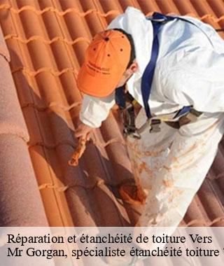 reparation-et-etancheite-de-toiture