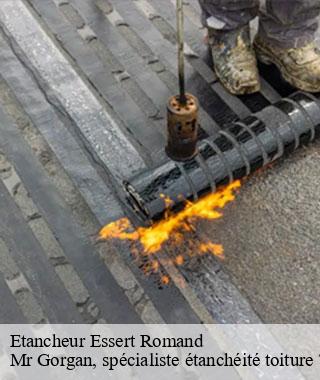 etancheur