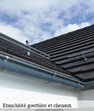 etancheite-gouttiere-et-chenaux