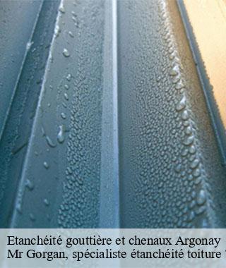etancheite-gouttiere-et-chenaux