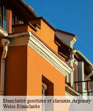 etancheite-gouttiere-et-chenaux