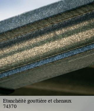 etancheite-gouttiere-et-chenaux