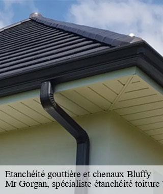 etancheite-gouttiere-et-chenaux