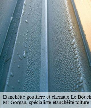 etancheite-gouttiere-et-chenaux