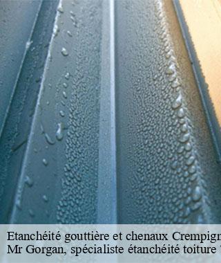 etancheite-gouttiere-et-chenaux