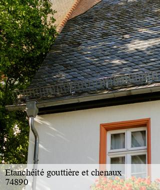 etancheite-gouttiere-et-chenaux