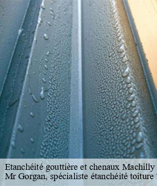 etancheite-gouttiere-et-chenaux