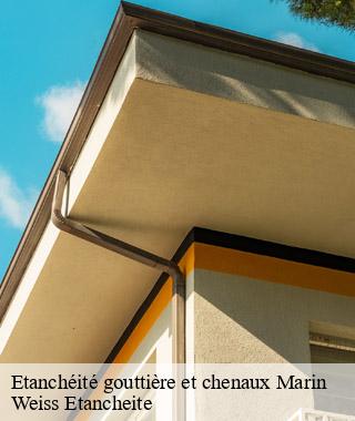 etancheite-gouttiere-et-chenaux