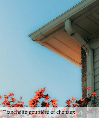 etancheite-gouttiere-et-chenaux