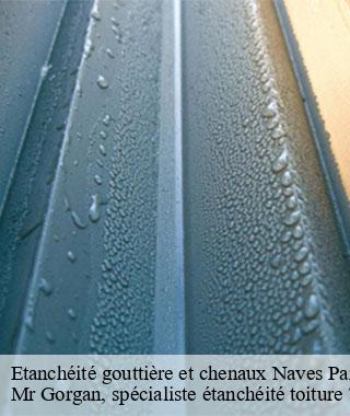 etancheite-gouttiere-et-chenaux