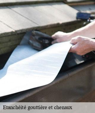 etancheite-gouttiere-et-chenaux