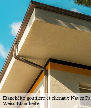 etancheite-gouttiere-et-chenaux