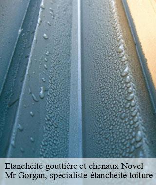 etancheite-gouttiere-et-chenaux