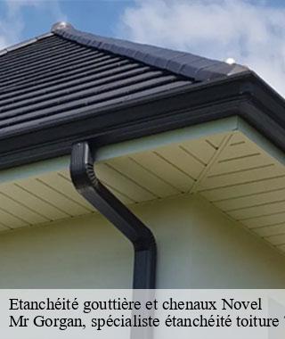 etancheite-gouttiere-et-chenaux