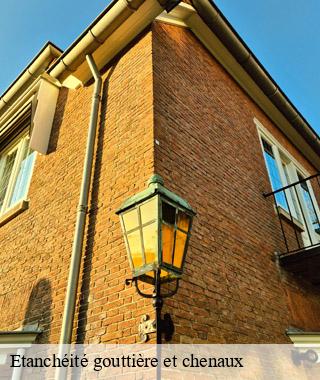 etancheite-gouttiere-et-chenaux