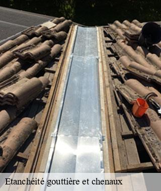 etancheite-gouttiere-et-chenaux