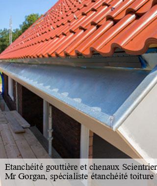 etancheite-gouttiere-et-chenaux