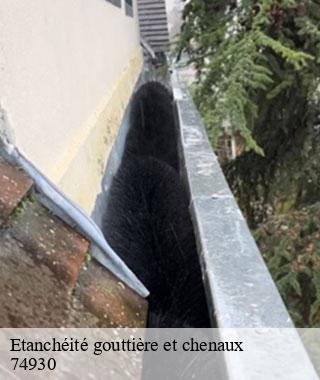 etancheite-gouttiere-et-chenaux