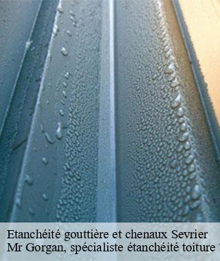 etancheite-gouttiere-et-chenaux