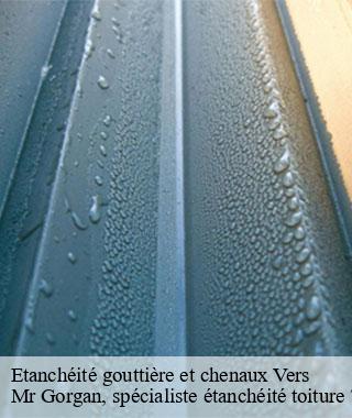 etancheite-gouttiere-et-chenaux
