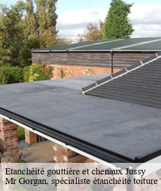 etancheite-gouttiere-et-chenaux