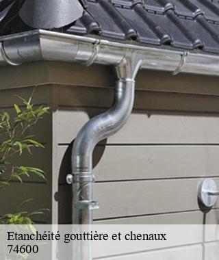 etancheite-gouttiere-et-chenaux