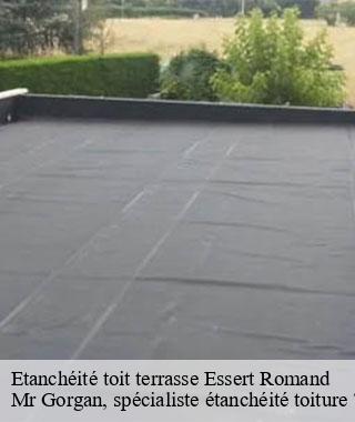 etancheite-toit-terrasse